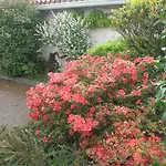 D'hotes Le Murier Bed & Breakfast 4*