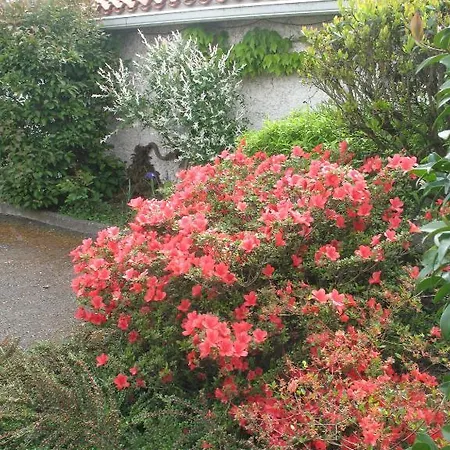 D'hotes Le Murier Bed & Breakfast *