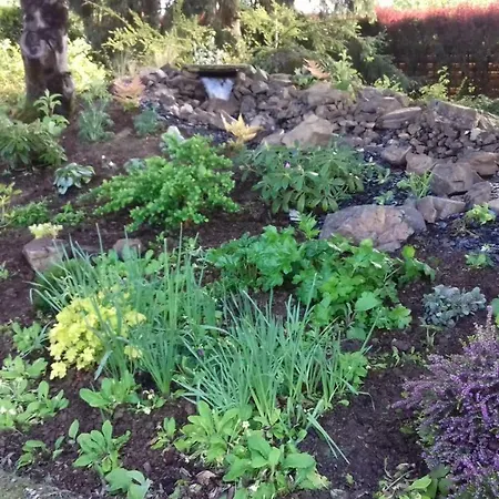 Bed & Breakfast D'hotes Le Murier 4*